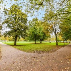 superb-green-park-with-paths-2023-11-27-04-50-52-utc - licienced with Evanto