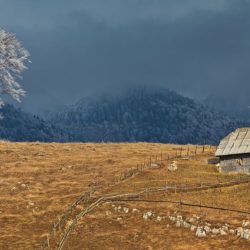 autumn-landscape-2024-09-16-14-58-37-utc