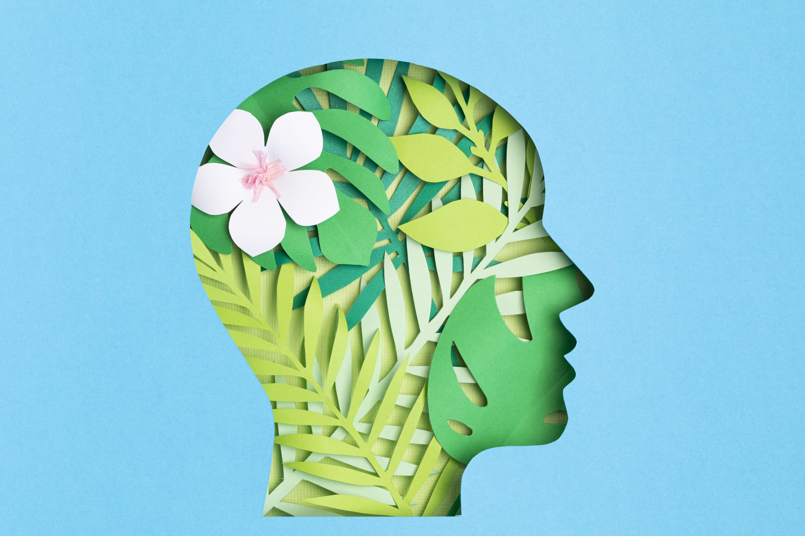 Dialectical Behavioural Therapy (DBT): An Everyday Skills Toolkit