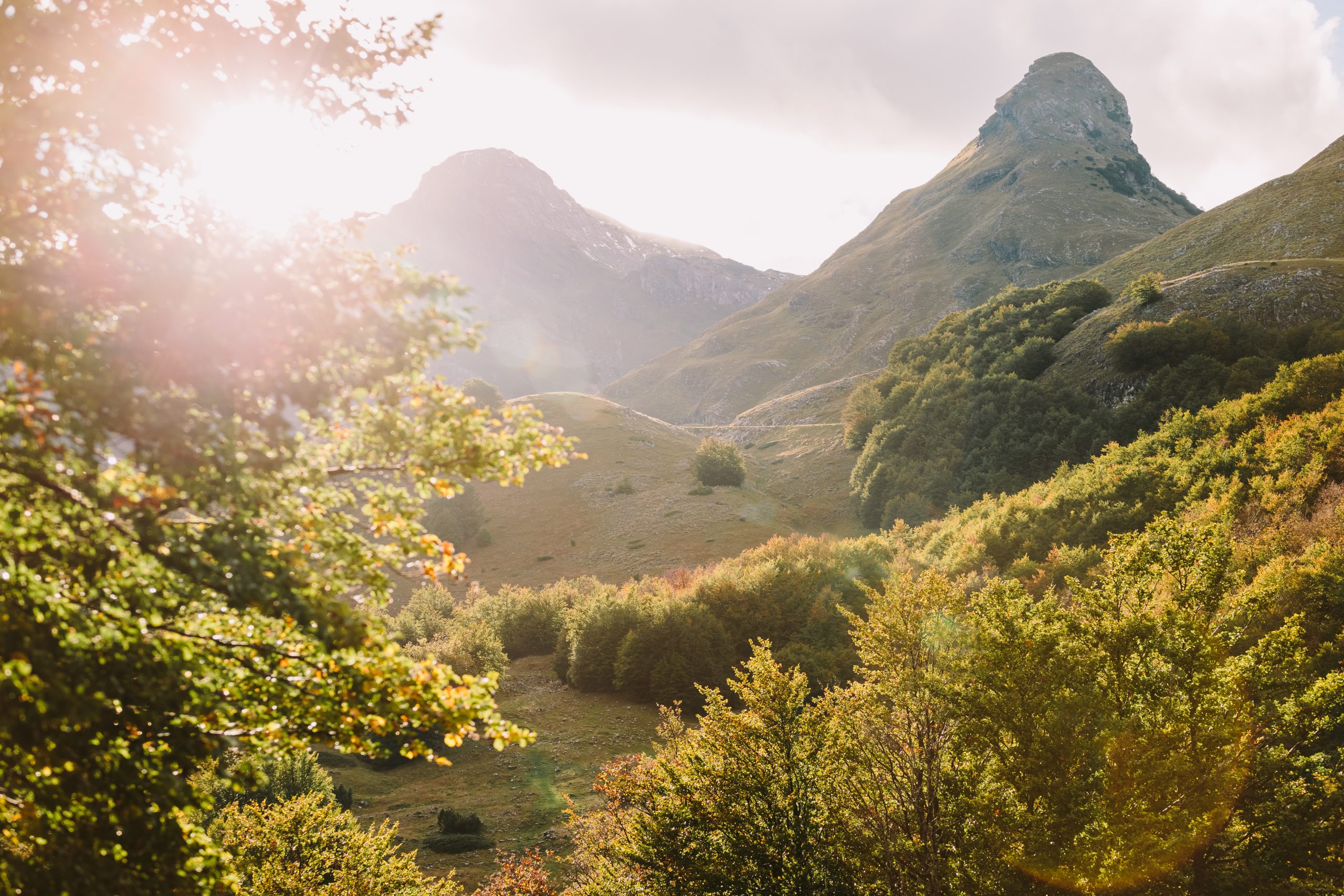 Self-Care Foundations for Healthier Habits, Mindset and Emotional Resilience